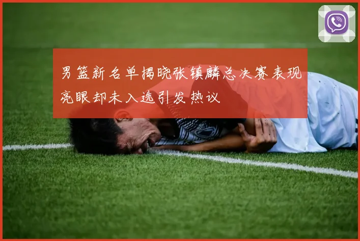 男篮新名单揭晓张镇麟总决赛表现亮眼却未入选引发热议